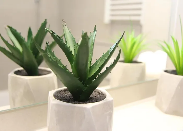 Διαμέρισμα K2